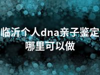 临沂个人dna亲子鉴定哪里可以做