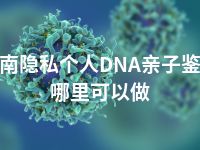 陇南隐私个人DNA亲子鉴定哪里可以做