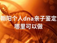 朝阳个人dna亲子鉴定哪里可以做