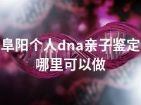 阜阳个人dna亲子鉴定哪里可以做