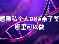 孝感隐私个人DNA亲子鉴定哪里可以做