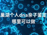 巢湖个人dna亲子鉴定哪里可以做