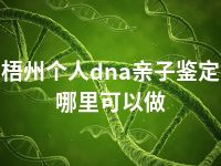 梧州个人dna亲子鉴定哪里可以做