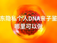 海东隐私个人DNA亲子鉴定哪里可以做