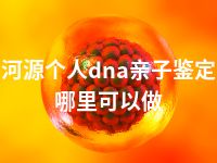 河源个人dna亲子鉴定哪里可以做