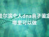 哈尔滨个人dna亲子鉴定哪里可以做