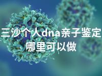 三沙个人dna亲子鉴定哪里可以做