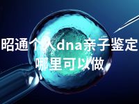 昭通个人dna亲子鉴定哪里可以做