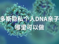 鄂尔多斯隐私个人DNA亲子鉴定哪里可以做