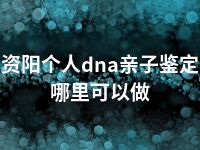 资阳个人dna亲子鉴定哪里可以做