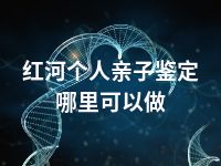 红河个人亲子鉴定哪里可以做