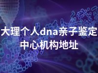 大理个人dna亲子鉴定中心机构地址