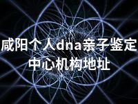 咸阳个人dna亲子鉴定中心机构地址