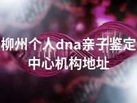 柳州个人dna亲子鉴定中心机构地址