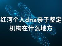 红河个人dna亲子鉴定机构在什么地方