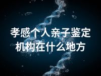 孝感个人亲子鉴定机构在什么地方