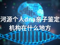 河源个人dna亲子鉴定机构在什么地方