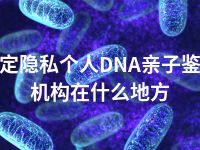 保定隐私个人DNA亲子鉴定机构在什么地方