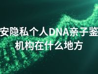 延安隐私个人DNA亲子鉴定机构在什么地方