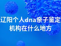 辽阳个人dna亲子鉴定机构在什么地方