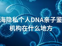 上海隐私个人DNA亲子鉴定机构在什么地方