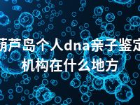 葫芦岛个人dna亲子鉴定机构在什么地方