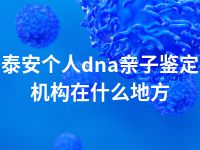 泰安个人dna亲子鉴定机构在什么地方