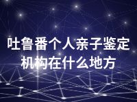 吐鲁番个人亲子鉴定机构在什么地方