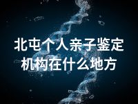 北屯个人亲子鉴定机构在什么地方