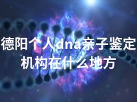 德阳个人dna亲子鉴定机构在什么地方