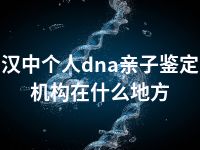 汉中个人dna亲子鉴定机构在什么地方