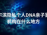 哈尔滨隐私个人DNA亲子鉴定机构在什么地方