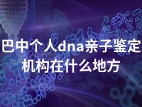 巴中个人dna亲子鉴定机构在什么地方