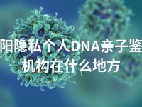 益阳隐私个人DNA亲子鉴定机构在什么地方