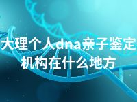 大理个人dna亲子鉴定机构在什么地方