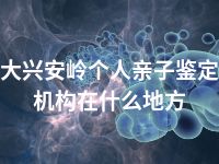 大兴安岭个人亲子鉴定机构在什么地方