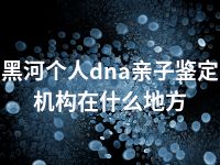 黑河个人dna亲子鉴定机构在什么地方