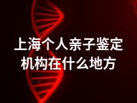 上海个人亲子鉴定机构在什么地方