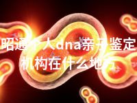 昭通个人dna亲子鉴定机构在什么地方