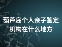 葫芦岛个人亲子鉴定机构在什么地方