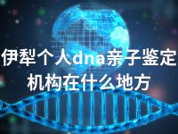 伊犁个人dna亲子鉴定机构在什么地方