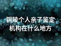 铜陵个人亲子鉴定机构在什么地方