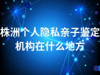 株洲个人隐私亲子鉴定机构在什么地方