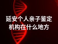 延安个人亲子鉴定机构在什么地方