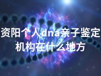 资阳个人dna亲子鉴定机构在什么地方