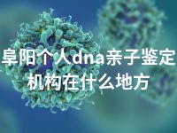 阜阳个人dna亲子鉴定机构在什么地方