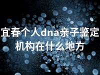 宜春个人dna亲子鉴定机构在什么地方