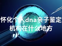 怀化个人dna亲子鉴定机构在什么地方