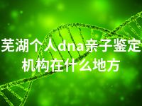 芜湖个人dna亲子鉴定机构在什么地方