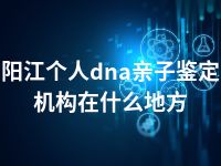 阳江个人dna亲子鉴定机构在什么地方